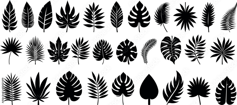 Wall mural leaf vector set, 30 leaves silhouette designs, tropical leaf silhouettes, botanical leaves clipart, 
