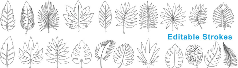 botanical leaf line illustration for natural designs