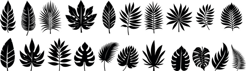 Tropical leaves silhouette collection for graphic design, nature, and summer concepts. tropical leaf Vector illustration with monochrome foliage © Arafat