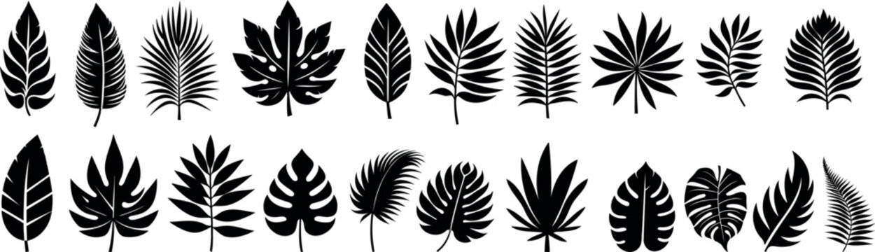 Tropical leaves silhouette collection for graphic design, nature, and summer concepts. tropical leaf Vector illustration with monochrome foliage