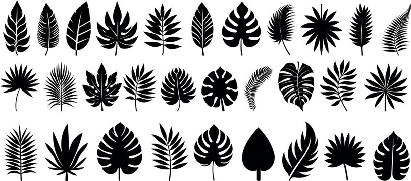 Leaf vector set, 30 leaves silhouette designs, tropical leaf silhouettes, botanical leaves clipart, nature icons, plant graphics, foliage illustrations, decorative elements, natural patterns