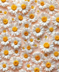 Daisy Flower Pattern
