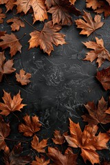Autumn Maple Leaves on Black Background