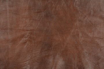 Brown Color Leather Texture Background, Close Up Of Genuine Leather.