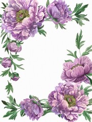 Floral frame of purple peonies on white background. Romantic greeting design, beautiful flowers on white background with copy space.