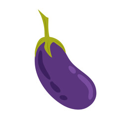 Ripe eggplant in flat style on white background. Vegetables. Ingredient for salad, rolling, cooking. Healthy food.