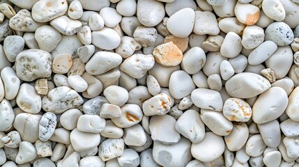 Texture pattern of white pebbles gravel and small stones in walk way path and floor for garden interior decoration background. Various shapes of white decorative gravel stones pattern for background. 