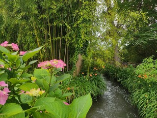 The stunning gardens of Claude Monet's house in Giverny, France
