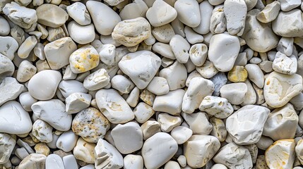 Texture pattern of white pebbles gravel and small stones in walk way path and floor for garden interior decoration background. Various shapes of white decorative gravel stones pattern for background. 