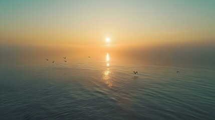 A calm ocean at dawn image