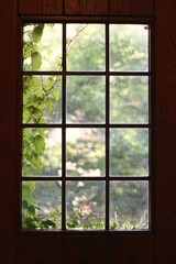 A vintage window with ivy leaves.