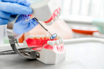 Dental Model Examination Close-Up. Copy space. A close-up view of a dental model being examined by a dentist with blue gloves, highlighting dental tools in a clinical setting.