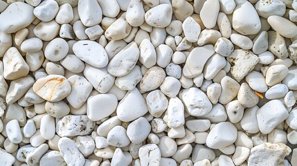 Texture pattern of white pebbles gravel and small stones in walk way path and floor for garden interior decoration background. Various shapes of white decorative gravel stones pattern for background. 