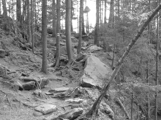 black and white landscape of mountains