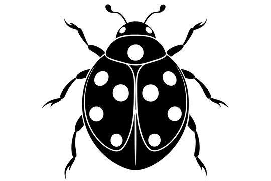 recommend clip art: Silhouette of ladybug vector illustration