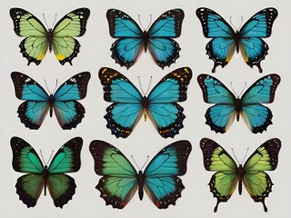 Obraz premium a collection of butterflies with different colors and shapes set of beautiful blue green yellow