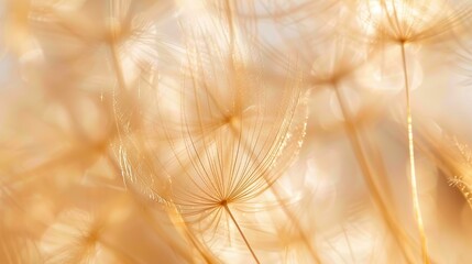 Whimsical Dandelion Seeds Floating in Air, Symbolizing Hope and New Beginnings