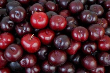 A lot of ripe plums as background or texture
