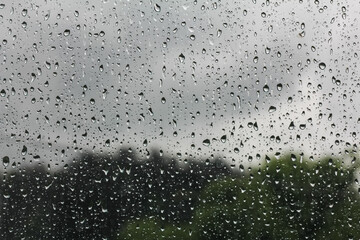 Raindrops splash on exotic window with tree background with blur object