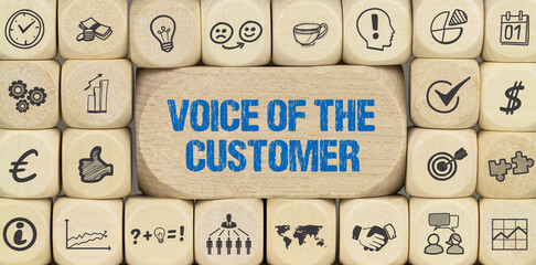 voice of the customer	