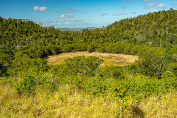 Coalstoun Lakes National Park, Queensland, Australia