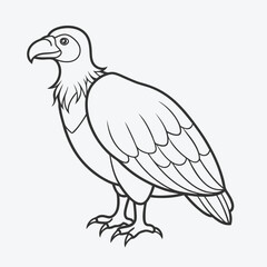 Stunning Condor Line Art Vector Illustration
