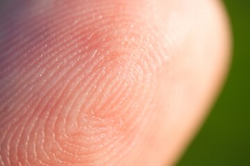 Finger print concept: Macro photo of the lines of a fingerprint of a white man's finger