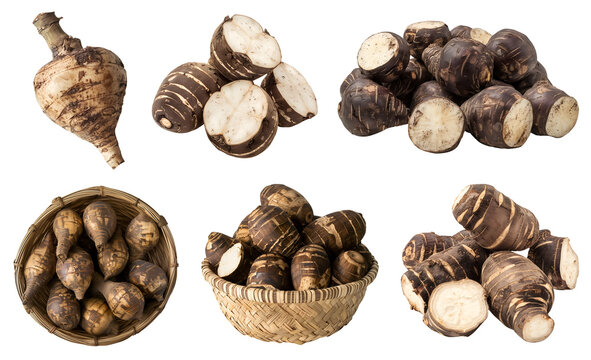 Taro eddo dasheen root vegetable, many angles and view side top front basket pile slice isolated on transparent background cutout, PNG file. Mockup template for artwork graphic design