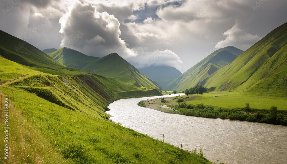 Wall mural river flowing through lush green valley under cloudy sky