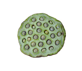 Lotus seed transparent png