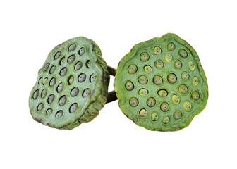 Lotus seed transparent png © nipaporn