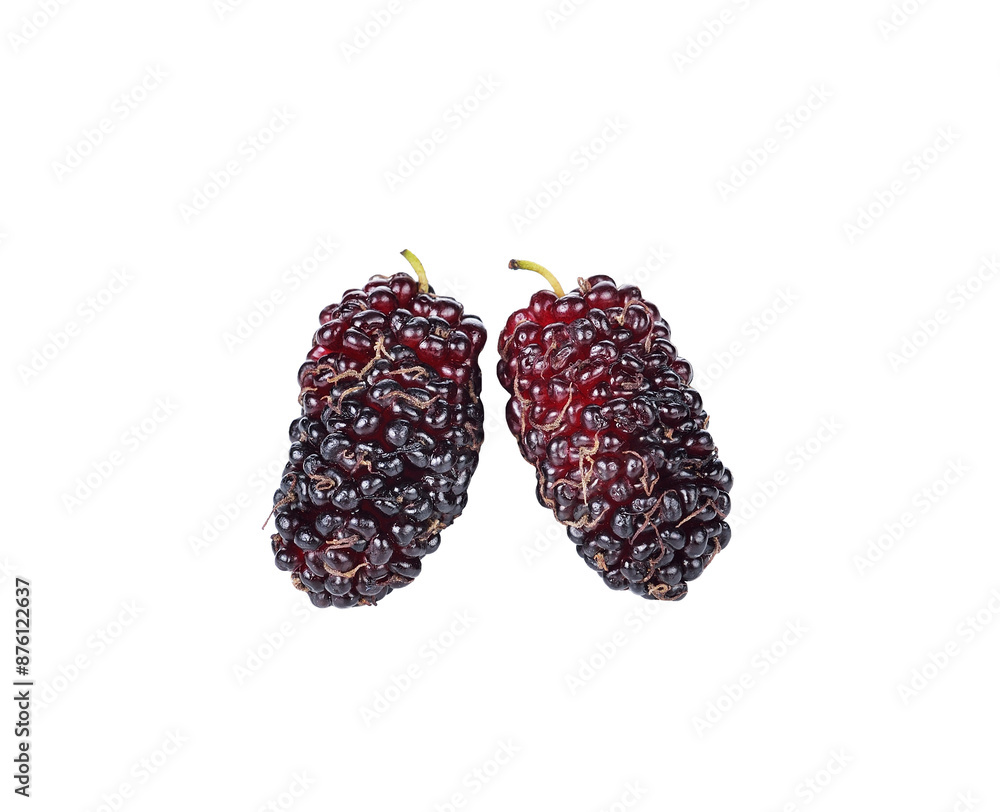 Poster mulberry transparent png