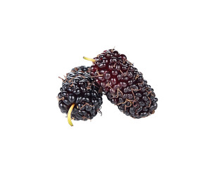mulberry transparent png
