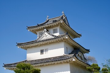 A view of the keep of Marugame Castle in May