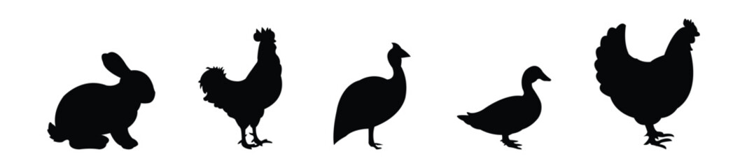 Various farm animals vector design with back style.