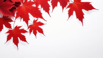 Abstract flowing waves with red maple leaves on white background 