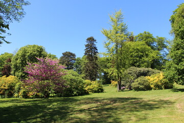 Der Ohrbergpark in Emmerthal