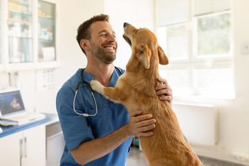 Happy male vet doctor in uniform cuddling and playing with Pembroke Welsh Corgi dog after treatment in clinic office, copy space