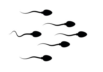 Spermatozoon (spermium, sperm) icon. Symbol of fertilization, conception or birth. Male reproductive cell.