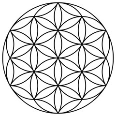 Fototapeta premium 24-Arc Flower of Life, Sacred Geometry Pattern of Universal Energy and Creation 