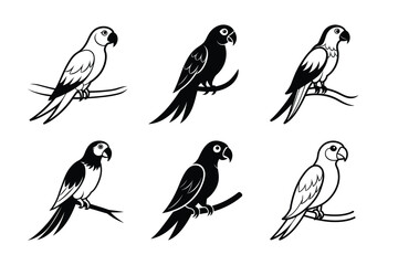 This vibrant parrot silhouette vector is perfect for creating lively art pieces, decor, and graphic designs. Ideal for designers seeking an exotic avian element.