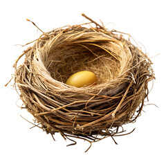 Obraz premium bird nest isolated on white background