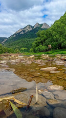 Dunajec river, the Trzy Korony mountains, beautiful green summer forest in poland and flying duck