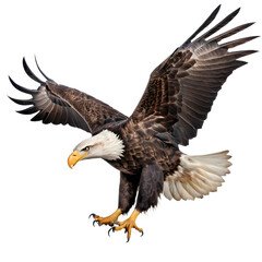 Bald Eagle Flying Isolated on transparent Background with ultra layer