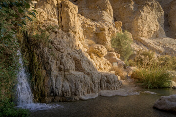 The dry desert, bushes, and the scenic cliffs in the eastern regions of Israel.
