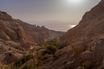 The scenis mountain valley in the dry desert of Ein Gedi, a hiking area, with the water coastline of the Dead Sea during the beautiful sunset in Israel.
