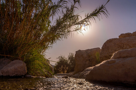 The refreshing spring between the rocks of Ein Gedi reserve in Israeli desert.
