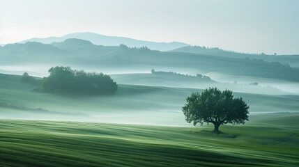 Fototapeta premium Calm peaceful Tuscany landscape. Background image. Created with Generative AI technology.