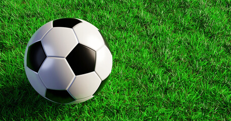 A black and white soccer ball lies on a green lawn with copy space, a concept for the European Football Cup final, 3D rendering