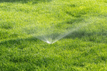 Lawn irrigation sprinkler watering green vegetation